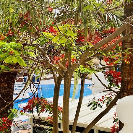 Castle Harbour Melanie'S Apartment By Lovetenerife ลอส กริสเตียนอส ภายนอก รูปภาพ