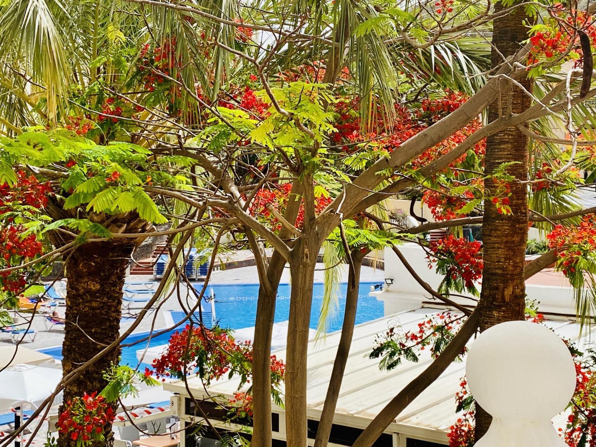Castle Harbour Melanie'S Apartment By Lovetenerife ลอส กริสเตียนอส ภายนอก รูปภาพ